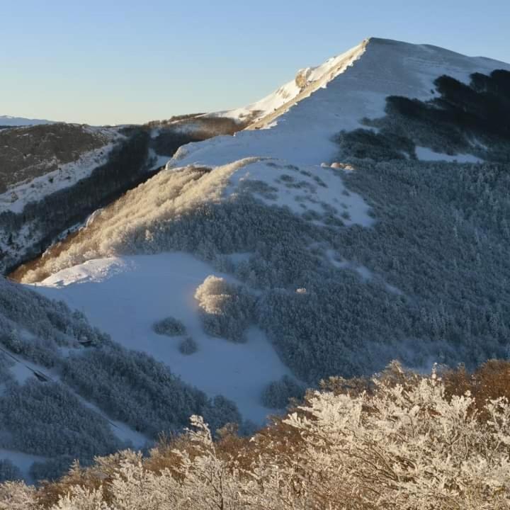 Villard De Lans 外观 照片