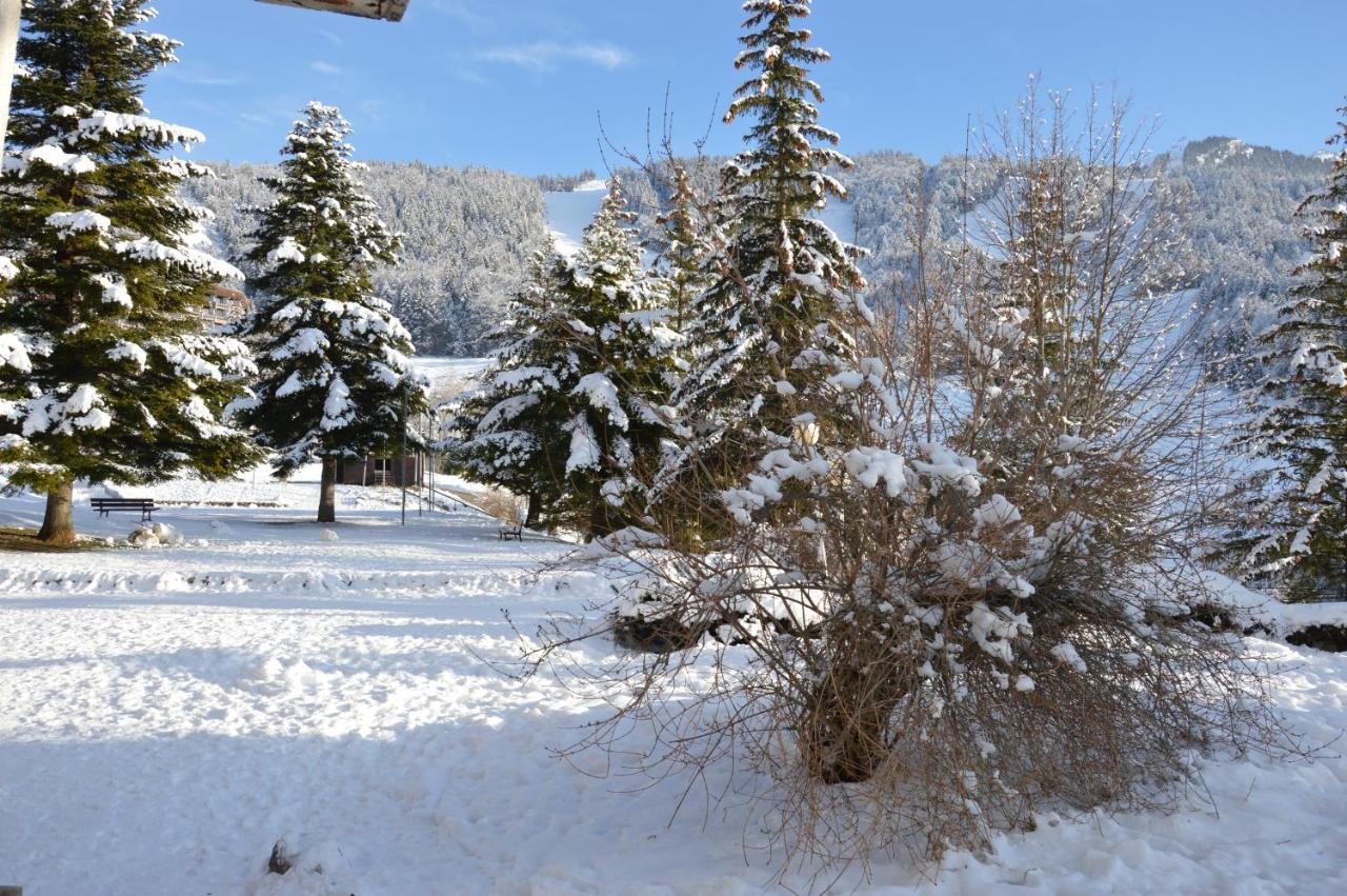 Villard De Lans 外观 照片